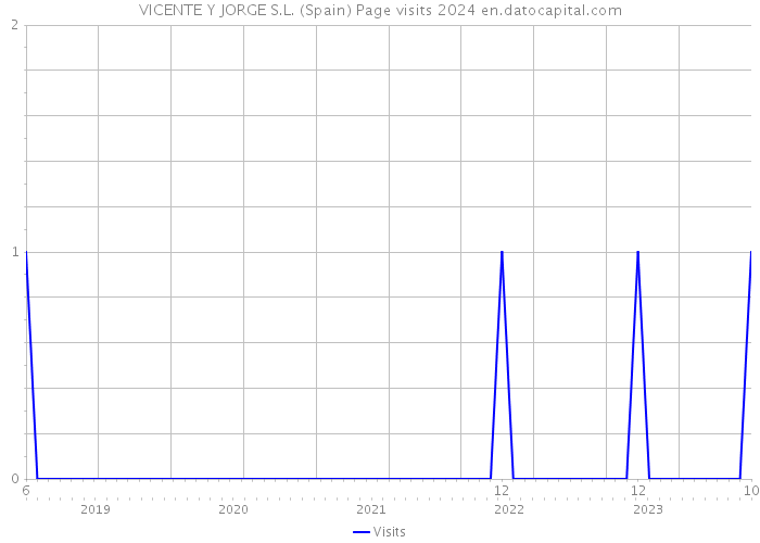 VICENTE Y JORGE S.L. (Spain) Page visits 2024 