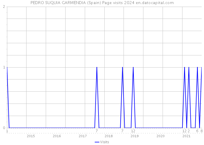 PEDRO SUQUIA GARMENDIA (Spain) Page visits 2024 