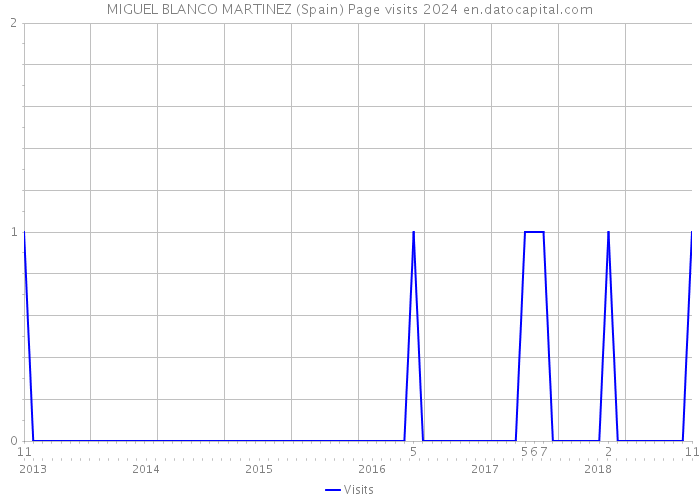 MIGUEL BLANCO MARTINEZ (Spain) Page visits 2024 