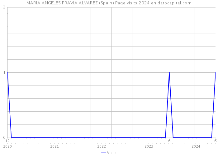 MARIA ANGELES PRAVIA ALVAREZ (Spain) Page visits 2024 