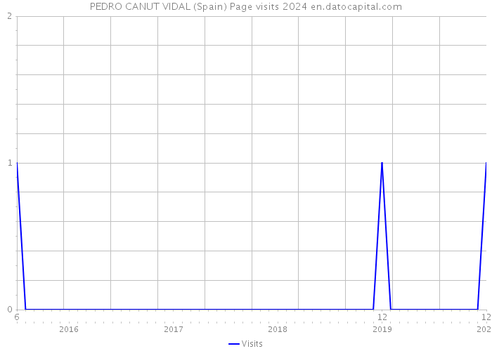 PEDRO CANUT VIDAL (Spain) Page visits 2024 