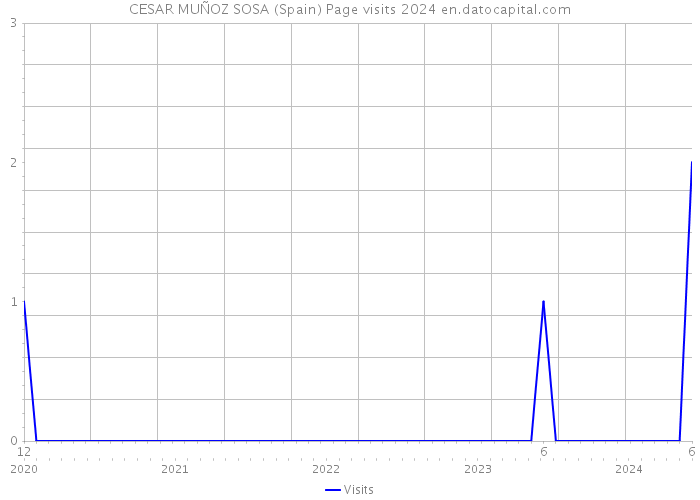 CESAR MUÑOZ SOSA (Spain) Page visits 2024 