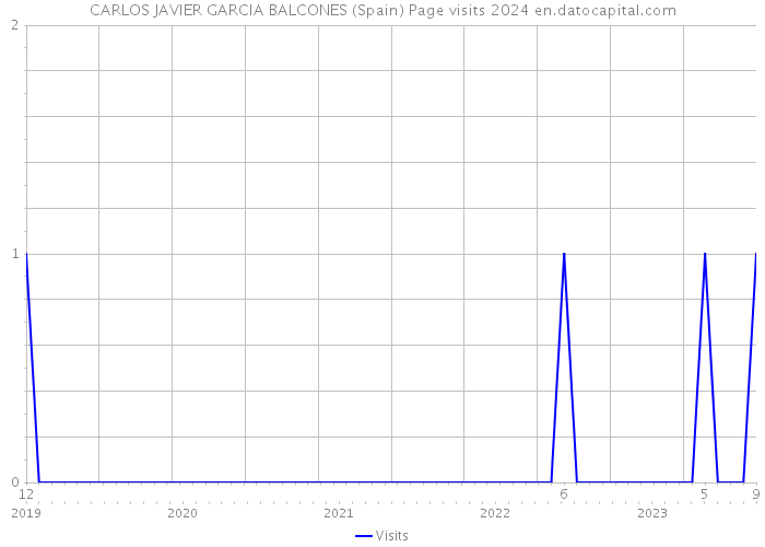 CARLOS JAVIER GARCIA BALCONES (Spain) Page visits 2024 