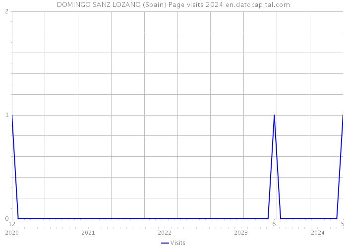 DOMINGO SANZ LOZANO (Spain) Page visits 2024 