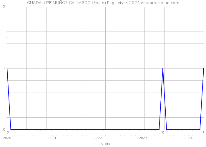 GUADALUPE MUÑOZ GALLARDO (Spain) Page visits 2024 