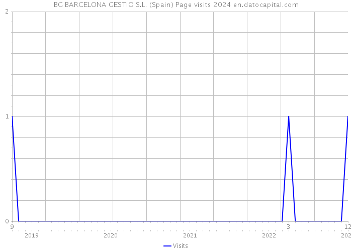 BG BARCELONA GESTIO S.L. (Spain) Page visits 2024 