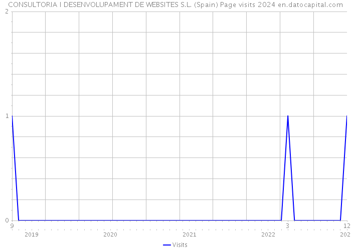 CONSULTORIA I DESENVOLUPAMENT DE WEBSITES S.L. (Spain) Page visits 2024 