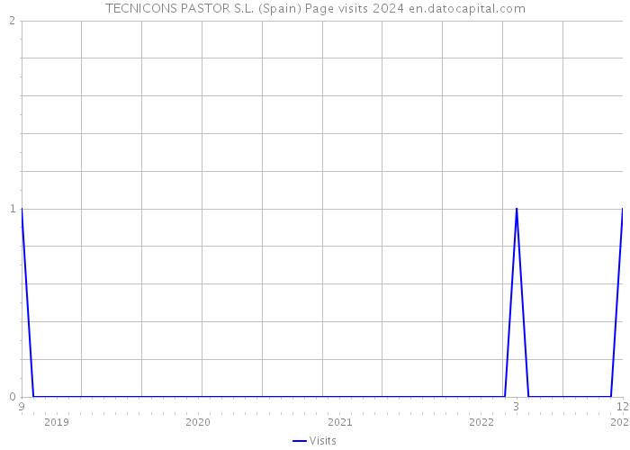 TECNICONS PASTOR S.L. (Spain) Page visits 2024 