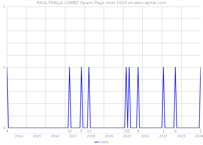RAUL PINILLA GOMEZ (Spain) Page visits 2024 