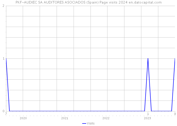 PKF-AUDIEC SA AUDITORES ASOCIADOS (Spain) Page visits 2024 