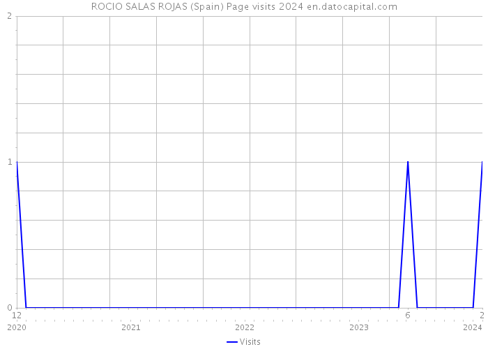 ROCIO SALAS ROJAS (Spain) Page visits 2024 