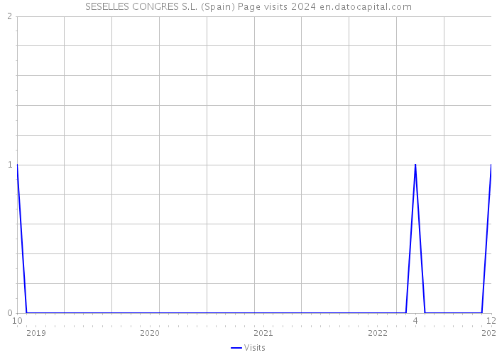 SESELLES CONGRES S.L. (Spain) Page visits 2024 