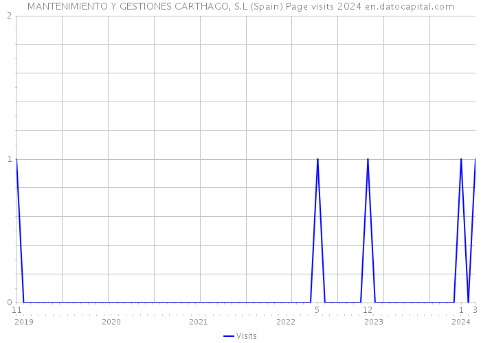 MANTENIMIENTO Y GESTIONES CARTHAGO, S.L (Spain) Page visits 2024 