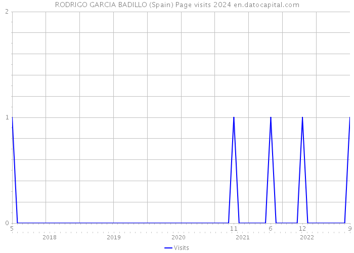 RODRIGO GARCIA BADILLO (Spain) Page visits 2024 