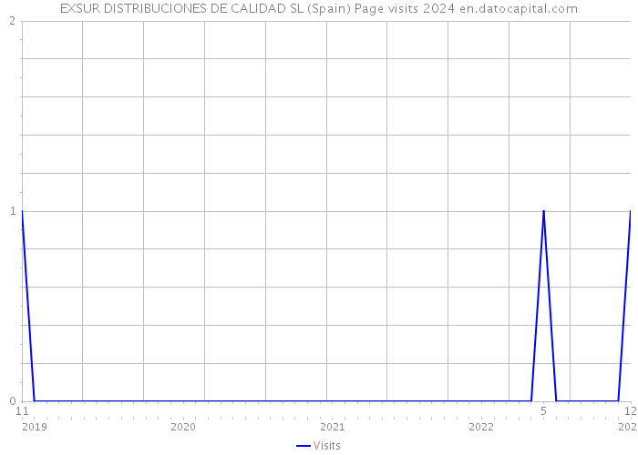 EXSUR DISTRIBUCIONES DE CALIDAD SL (Spain) Page visits 2024 