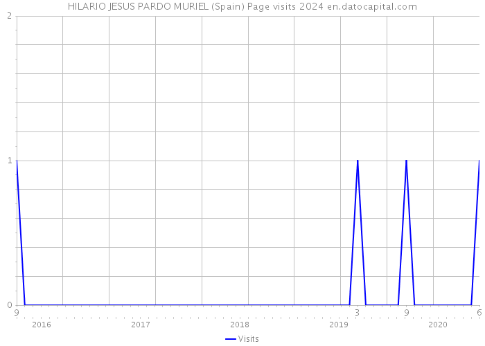 HILARIO JESUS PARDO MURIEL (Spain) Page visits 2024 
