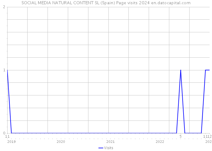 SOCIAL MEDIA NATURAL CONTENT SL (Spain) Page visits 2024 