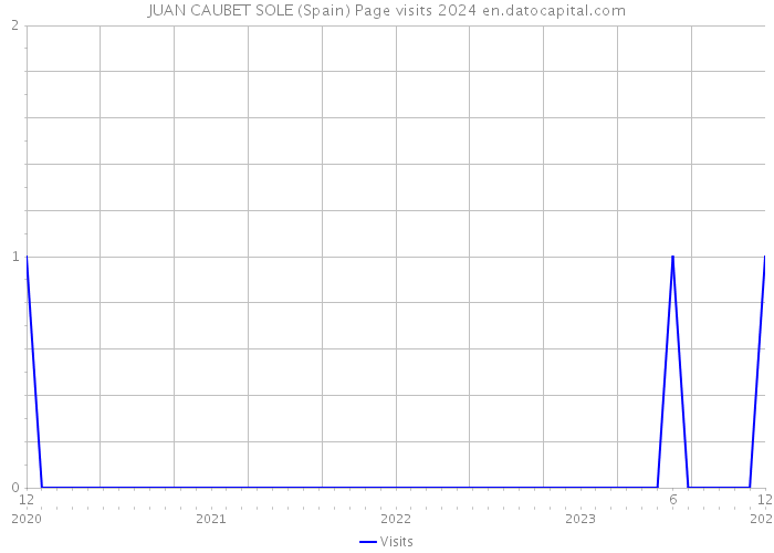 JUAN CAUBET SOLE (Spain) Page visits 2024 