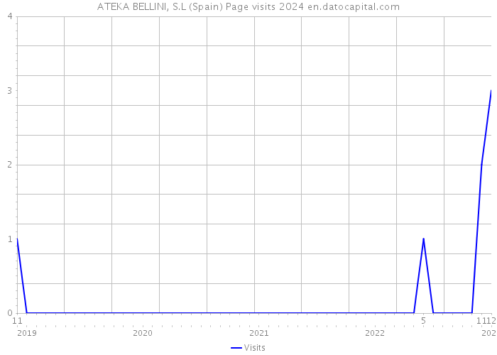 ATEKA BELLINI, S.L (Spain) Page visits 2024 