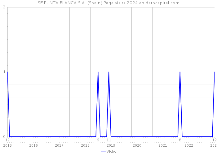 SE PUNTA BLANCA S.A. (Spain) Page visits 2024 