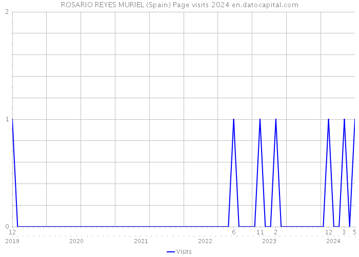 ROSARIO REYES MURIEL (Spain) Page visits 2024 