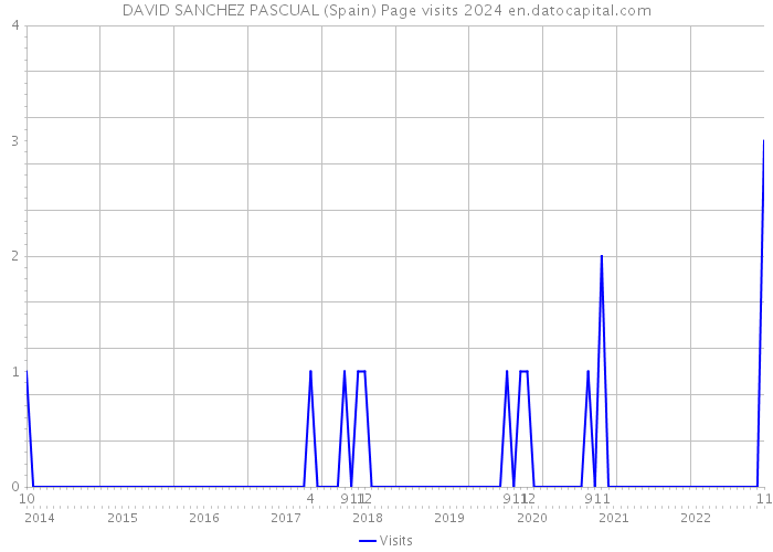 DAVID SANCHEZ PASCUAL (Spain) Page visits 2024 