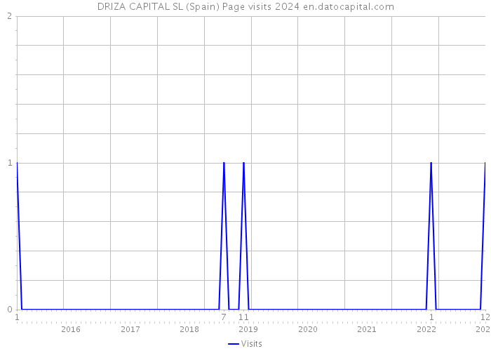 DRIZA CAPITAL SL (Spain) Page visits 2024 