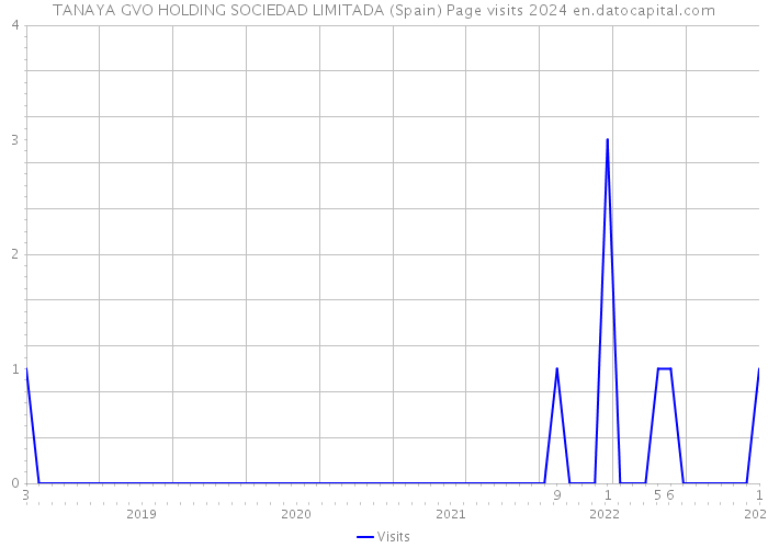 TANAYA GVO HOLDING SOCIEDAD LIMITADA (Spain) Page visits 2024 