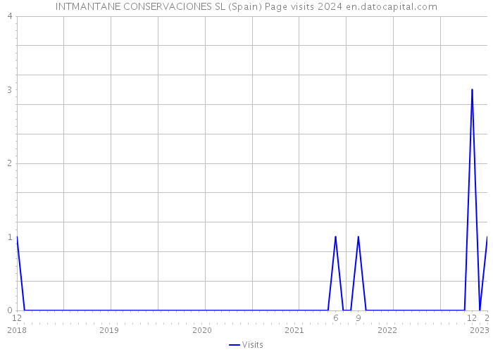 INTMANTANE CONSERVACIONES SL (Spain) Page visits 2024 