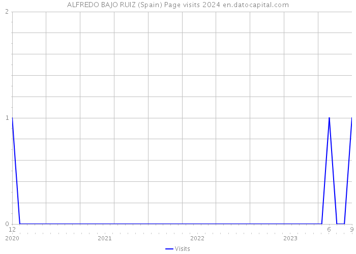 ALFREDO BAJO RUIZ (Spain) Page visits 2024 