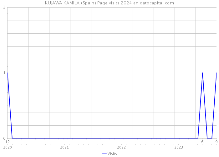 KUJAWA KAMILA (Spain) Page visits 2024 