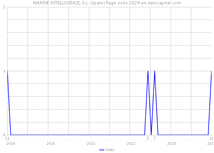 MARINE INTELLIGENCE, S.L. (Spain) Page visits 2024 