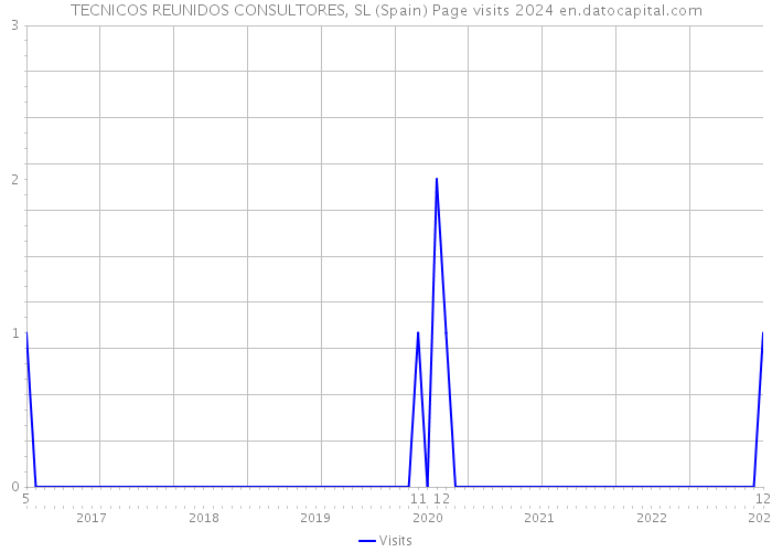 TECNICOS REUNIDOS CONSULTORES, SL (Spain) Page visits 2024 