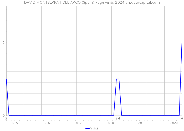 DAVID MONTSERRAT DEL ARCO (Spain) Page visits 2024 