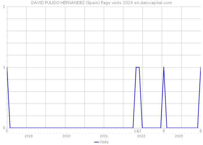 DAVID PULIDO HERNANDEZ (Spain) Page visits 2024 