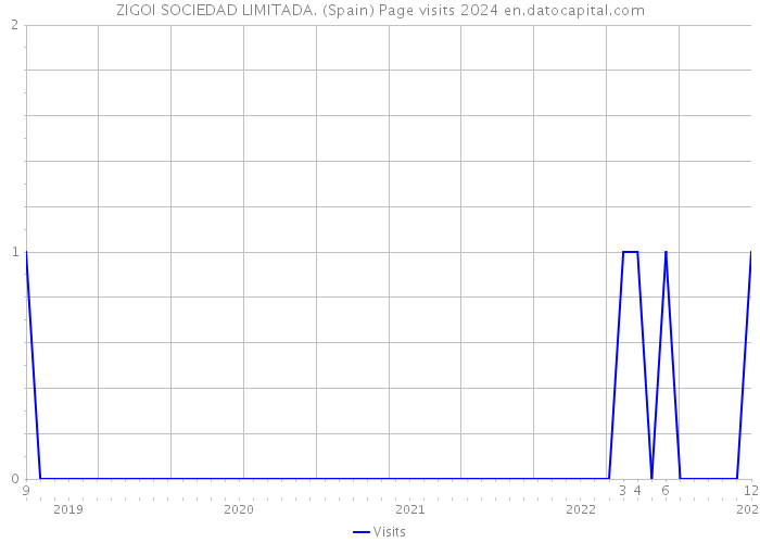 ZIGOI SOCIEDAD LIMITADA. (Spain) Page visits 2024 