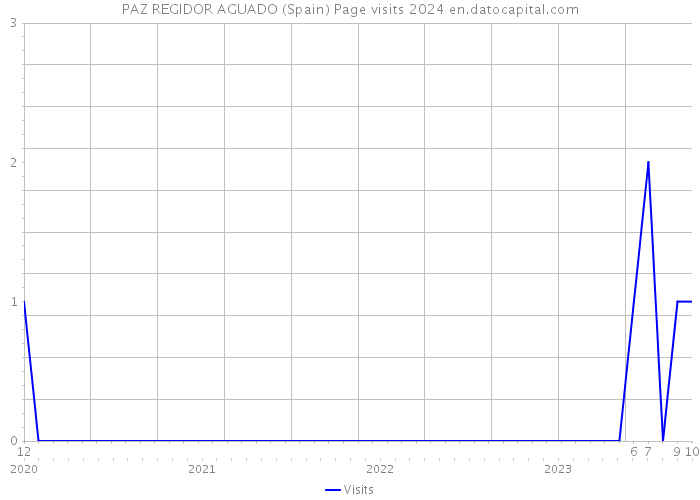 PAZ REGIDOR AGUADO (Spain) Page visits 2024 