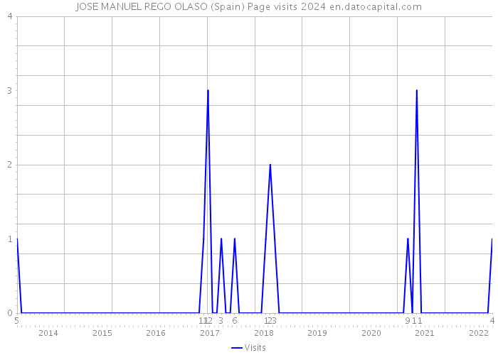 JOSE MANUEL REGO OLASO (Spain) Page visits 2024 