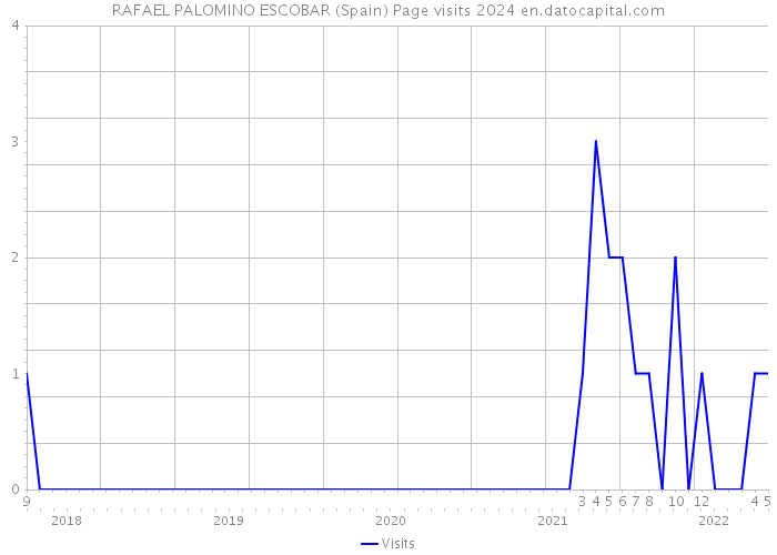 RAFAEL PALOMINO ESCOBAR (Spain) Page visits 2024 