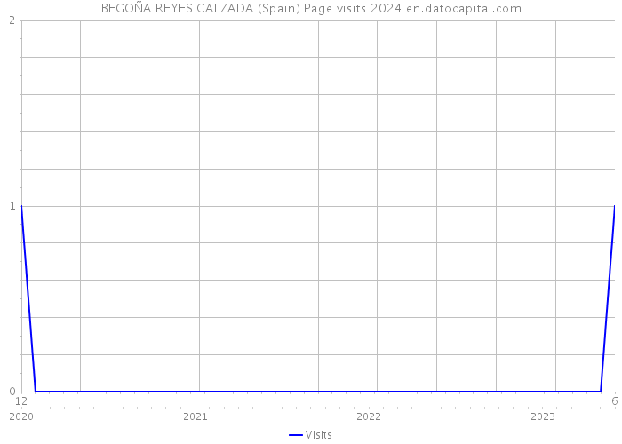 BEGOÑA REYES CALZADA (Spain) Page visits 2024 