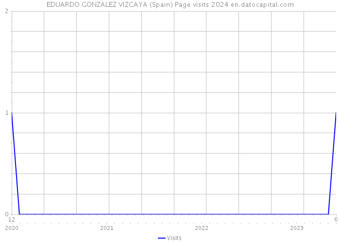 EDUARDO GONZALEZ VIZCAYA (Spain) Page visits 2024 
