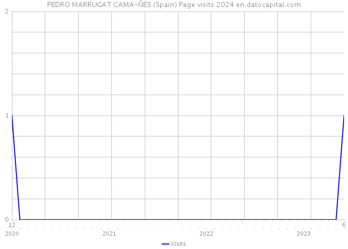 PEDRO MARRUGAT CAMA-ÑES (Spain) Page visits 2024 