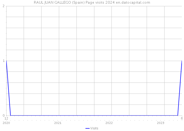 RAUL JUAN GALLEGO (Spain) Page visits 2024 