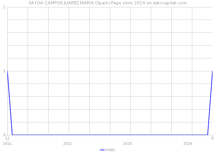 SAYOA CAMPOS JUAREZ MARIA (Spain) Page visits 2024 