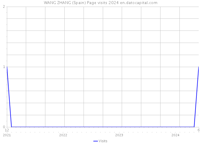 WANG ZHANG (Spain) Page visits 2024 