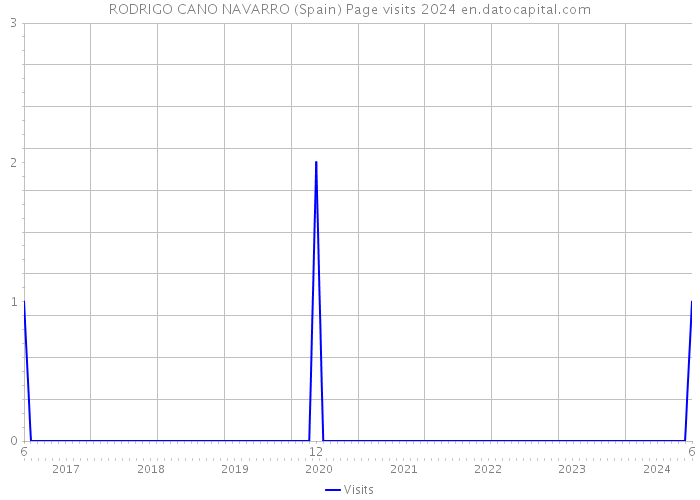 RODRIGO CANO NAVARRO (Spain) Page visits 2024 
