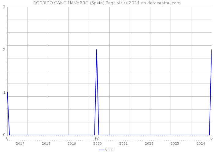 RODRIGO CANO NAVARRO (Spain) Page visits 2024 