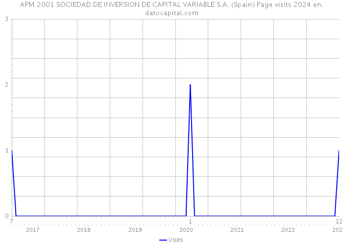 APM 2001 SOCIEDAD DE INVERSION DE CAPITAL VARIABLE S.A. (Spain) Page visits 2024 