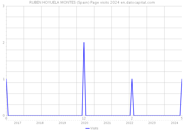 RUBEN HOYUELA MONTES (Spain) Page visits 2024 