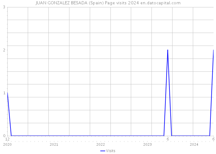 JUAN GONZALEZ BESADA (Spain) Page visits 2024 